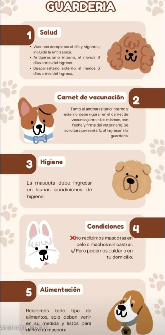 Requisitos de guardería: salud, carnet de vacunación, higiene, condiciones y alimentación